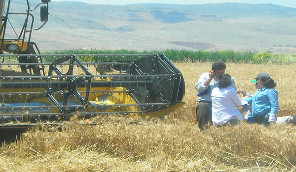 HUBUBATTA DANE KAYBI KONTROLLERİ DEVAM  EDİYOR