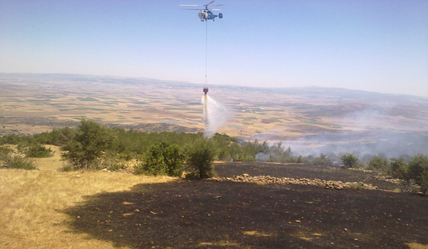 KAHRAMANMARAŞ'TA ORMAN YANGINI