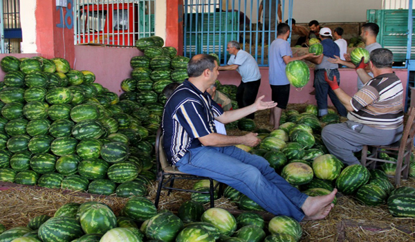 AŞIRI SICAK VE POYRAZ KARPUZ FİYATINI DÜŞÜRDÜ