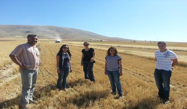 ELBİSTAN'DA BİÇERDÖVER KONTROLLERİNE BAŞLANDI