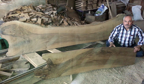 CEVİZ AĞACI KERESTESİNDEN HAYVAN RESİMLERİ ÇIKTI