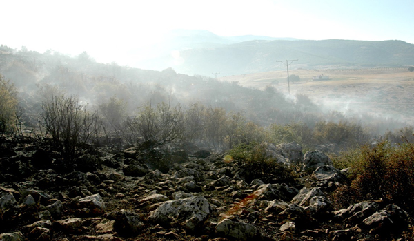 KAHRAMANMARAŞ'TA ORMAN YANGINI