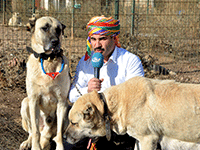 Sınırda Mehmetçiğin can dostu olacaklar