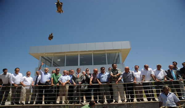 KEKLİKLER DOĞAYLA BULUŞTU