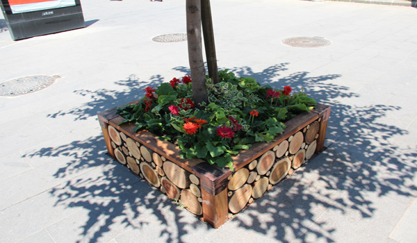 AĞAÇ ALTI SAKSILAR GÖZ DOLDURUYOR