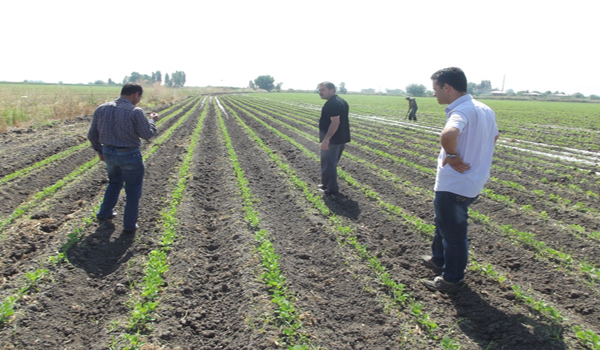 TÜRKOĞLUNDA SOYA EKİM ALANLARININ ARTIRILMASI İÇİN YAPILAN EĞİTİM ÇALIŞMALARI TAMAMLANDI