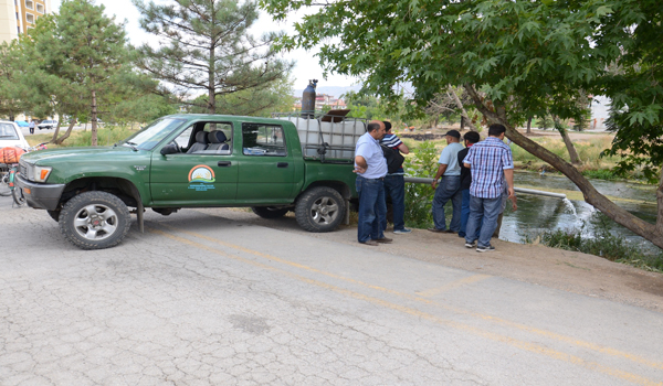 CEYHAN NEHRİNE 10 BİN YAVRU SAZAN BIRAKILDI