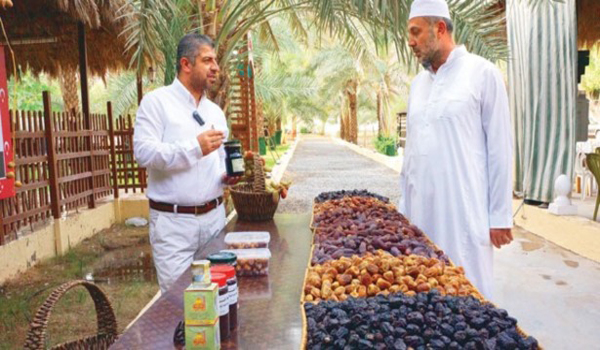 Medine hurması Türklerin gözdesi oldu