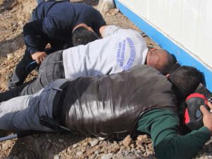 Vatandaş ihbar etti kurtarmak için seferber oldular! Çok nadir görülüyor