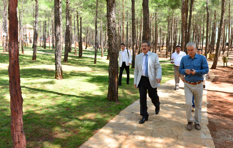 BAŞKAN POYRAZ ARSLANBEY MESİRE ALANINDA