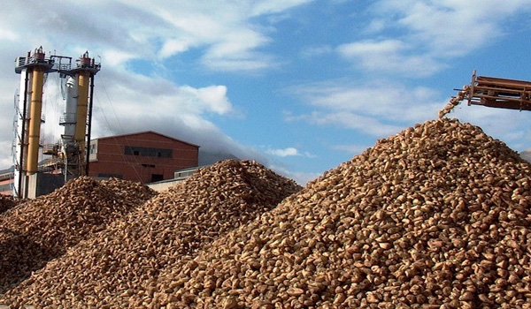 PANCAR ÇİFTÇİSİNE SULAMA AVANSI