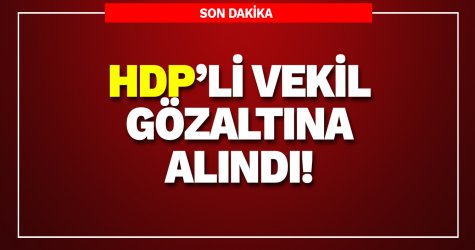 HDP'li vekil gözaltına alındı!