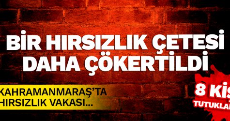 Bir hırsızlık çetesi daha çökertildi! 8 kişi tutklandı