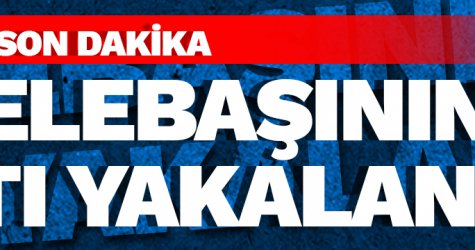 FETÖ elebaşının avukatı yakalandı!