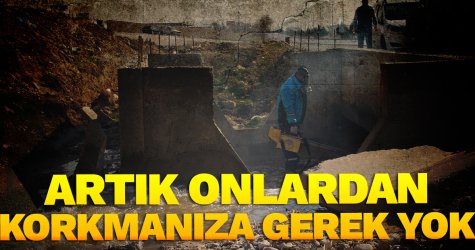 Vektörle mücadeleye start verildi