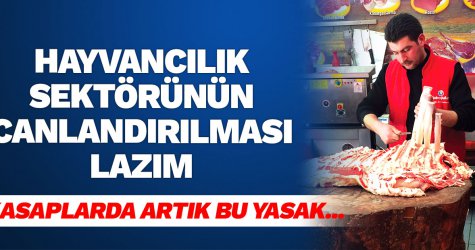 Hayvancılık sektörünün canlandırılması lazım