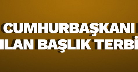 ​Cumhurbaşkanı Erdoğan: "Atılan başlık terbiyesizliktir"