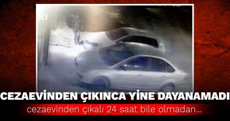 Cezaevinden çıkınca yine dayanamadı...