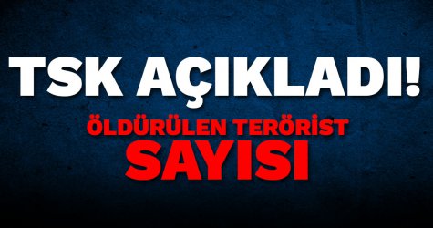 TSK açıkladı! 1 haftada öldürülen terörist sayısı