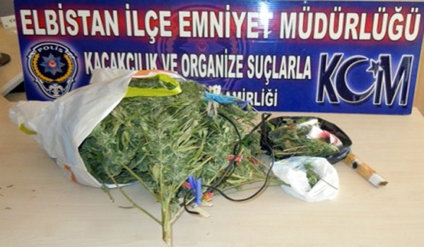 KAÇAK SİGARA VE ESRAR MADDESİ ELE GEÇİRİLDİ