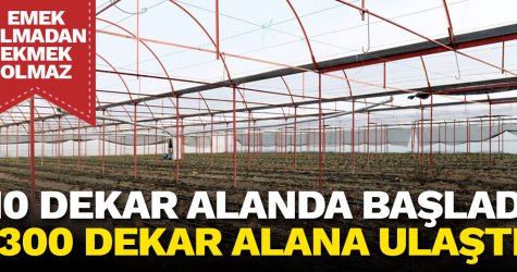 10 dekar alanda başladı 300 dekar alana ulaştı