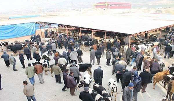 KURBAN SATIŞI VE KESİM YERLERİ BELLİ OLDU