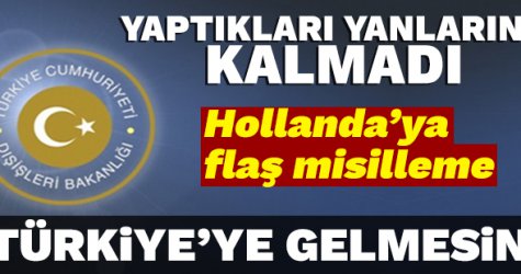 Dışişleri Bakanlığı'ndan Hollanda skandalının ardından açıklama: Türkiye'ye gelmesin