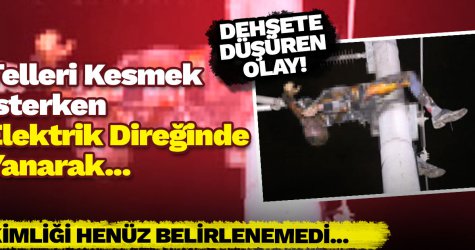 Telleri Kesmek İsterken Elektrik Direğinde Yanarak...