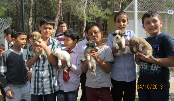 MİNİKLER, DOSTLARIYLA BİR ARAYA GELDİ