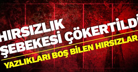 Hırsızlık şebekesi çökertildi!