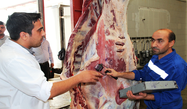 KURBAN ETLERİNDE DİKKAT EDİLECEK HUSUSLAR