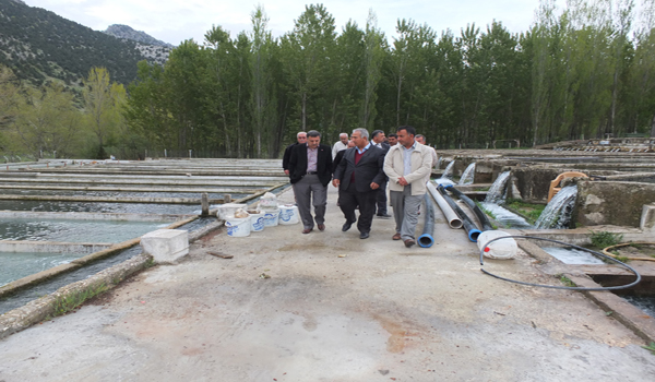PAKDİL ALABALIK ÜRETİM TESİSLERİN DE İNCELEMELER DE BULUNDU