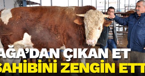 Ağa'dan çıkan et sahibini zengin etti...