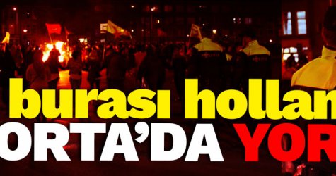 İkiyüzlü Hollanda'dan PKK'ya izin!