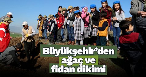 Büyükşehir’den ağaç ve fidan dikimi