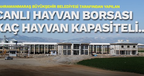 Canlı Hayvan Borsası'nda 3. Padok yapılacak