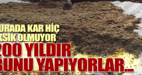 200 yıldır bunu yapıyorlar... Burada kar hiç eksik olmuyor