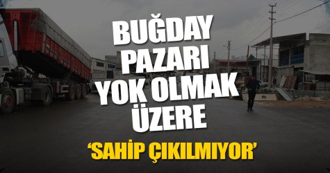 Buğday pazarı yok olmak üzere