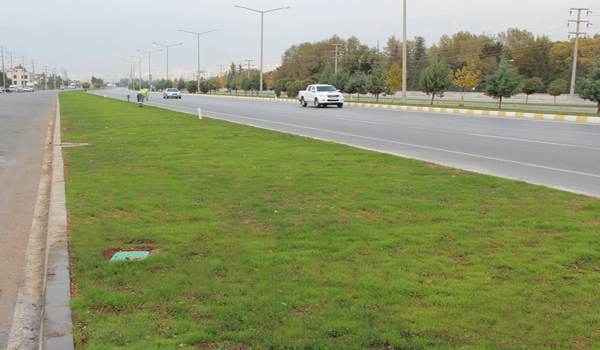 DOĞU ÇEVRE YOLU YEŞİLE BÜRÜNDÜ