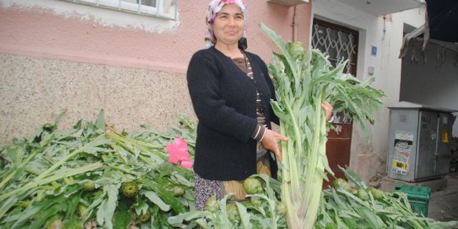 Enginar sofraların vazgeçilmezi