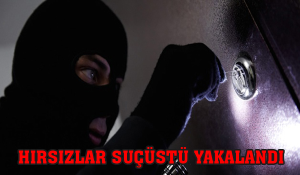 HIRSIZLAR SUÇÜSTÜ YAKALANDI