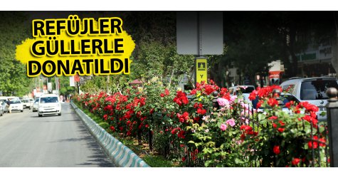 Refüjler güllerle donatıldı