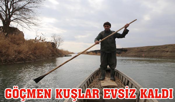 GÖÇMEN KUŞLAR EVSİZ KALDI