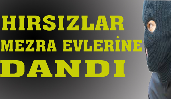 HIRSIZLAR MEZRA EVLERİNE DADANDI