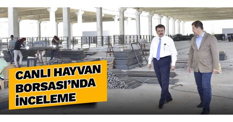 Canlı hayvan borsası’nda inceleme