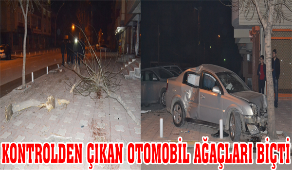 KONTROLDEN ÇIKAN OTOMOBİL AĞAÇLARI BİÇTİ