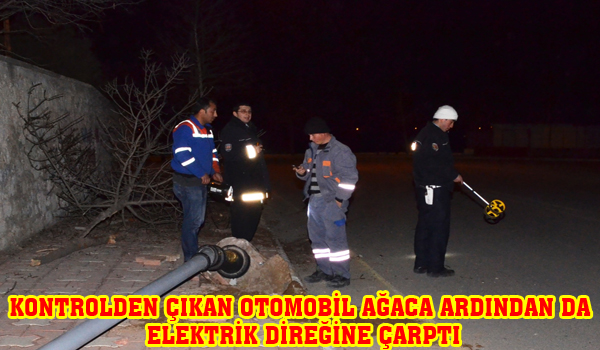 KONTROLDEN ÇIKAN OTOMOBİL AĞACA ARDINDAN DA ELEKTRİK DİREĞİNE ÇARPTI