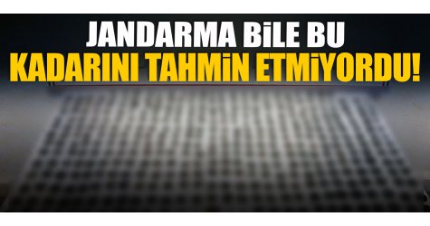 Jandarma bile bu kadarını tahmin etmiyordu!