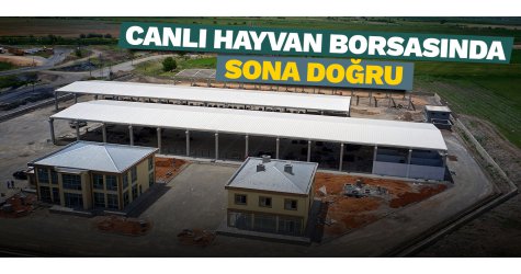 Canlı hayvan borsasında sona doğru