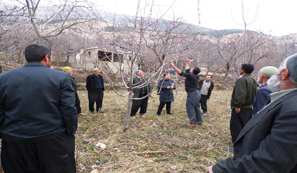 ONİKİ ŞUBAT İLÇE GIDA TARIM VE HAYVANCILIK MÜDÜRLÜĞÜ ÇİFTÇİ EĞİTİM VE YAYIM ÇALIŞMALARINA DEVAM EDİYOR